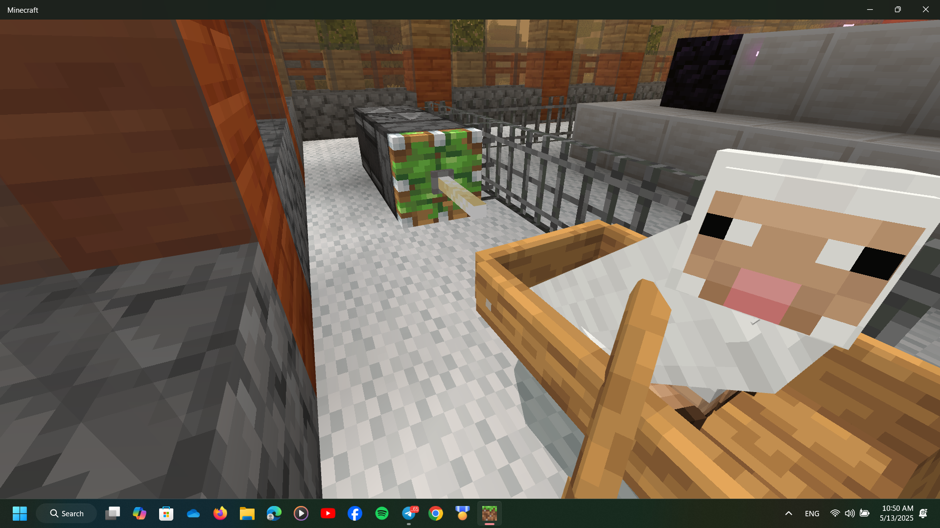 Natioanl Steve III (Overview)